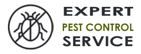 Exterminator Company Bellevue WA